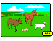 young_animals